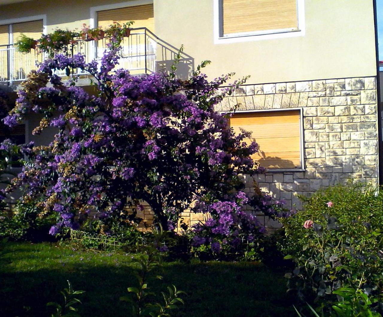 Sweet Apartment In Pomer Exterior foto